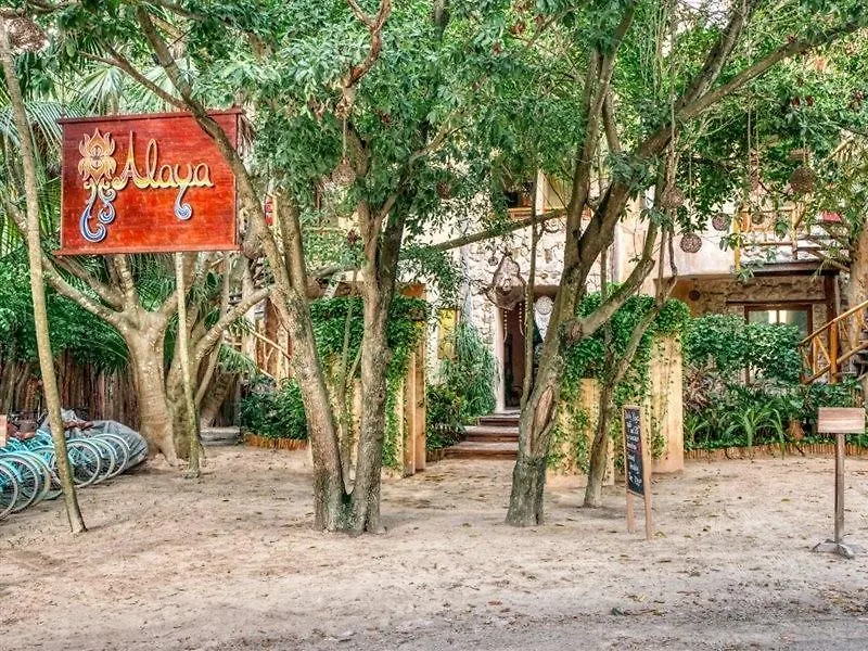 Alaya Tulum By Ahau Collection Hotel