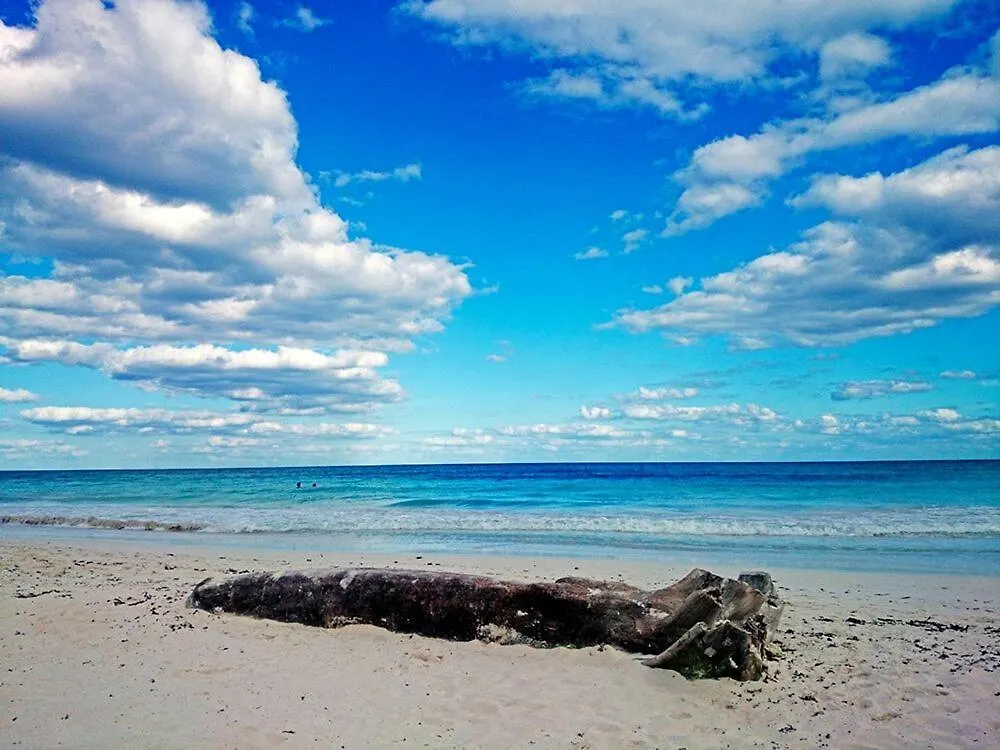 ****  Alaya Tulum By Ahau Collection Hotel Mexico